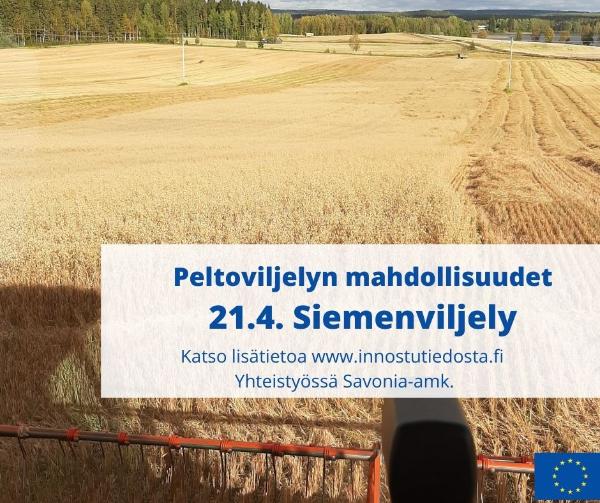 Siemenviljely